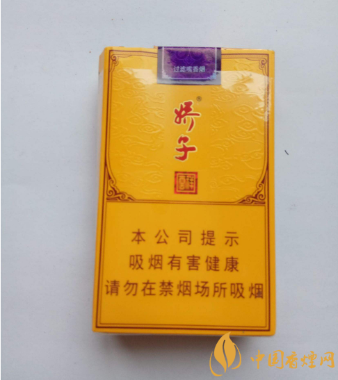 信州区香烟品牌有哪些(十大公认最好抽的烟及价格)