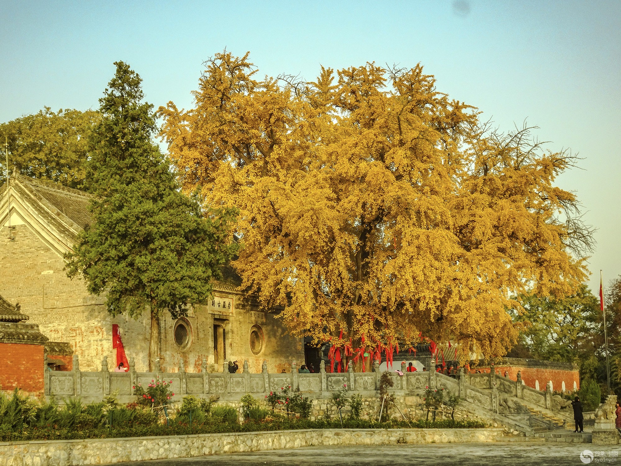 香烟寺(香烟寺在南阳什么地方)