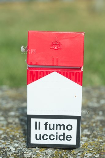 烟的英文cigarette(烟的英文单词)