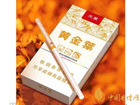 香烟品牌天叶(烟草天叶牌香烟价格表)